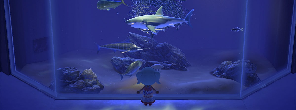 Estos son los peces de enero en Animal Crossing New Horizons